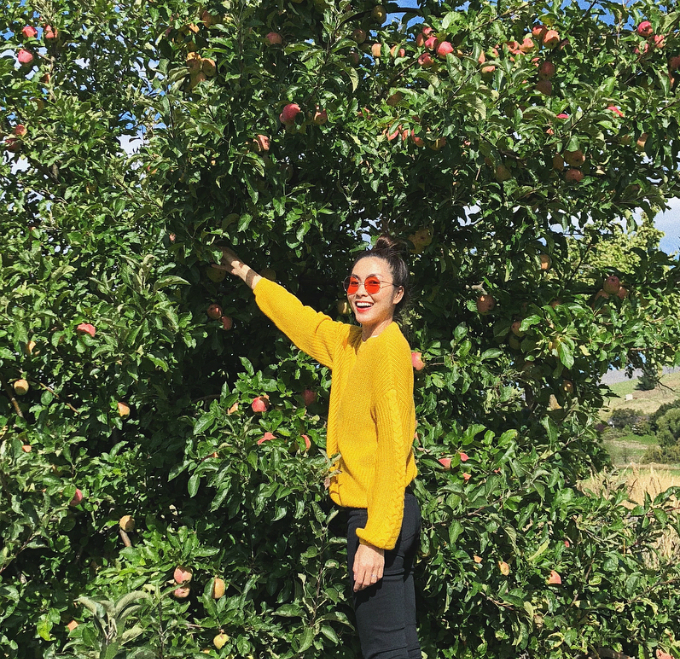 Tăng Thanh Hà ra thăm vườn và chia sẻ: Lần đầu thấy cây táo! Mặt hớn hở dễ sợ.